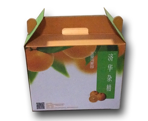 南岸自扣式水果包裝盒